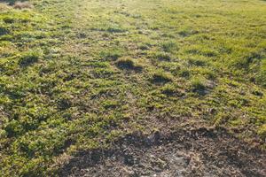Terreno di 1000 m² a Zanè