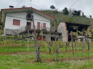 Casa indipendente con vigneto DOCG