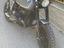 Immagine 3