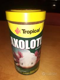 acquario mangime axolotl