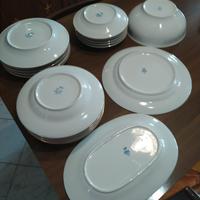 Servizio piatti ritiro a Ciriè e dintorni 