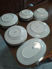 Servizio piatti ritiro a Ciriè e dintorni 