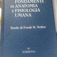 fondamenti di anatomia e fisiologia umana