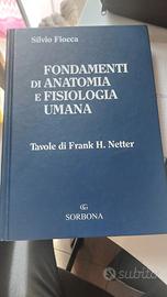 fondamenti di anatomia e fisiologia umana