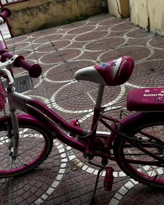 Bicicletta da passeggio