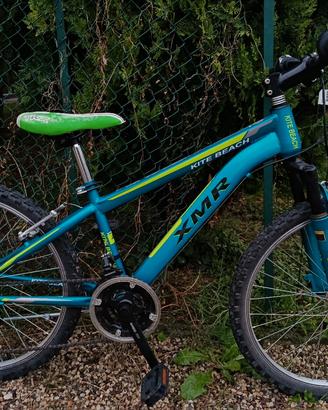 bicicletta 