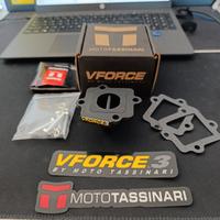 pacco lamellare Minarelli orizzontale vforce3