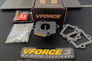 pacco lamellare Minarelli orizzontale vforce3