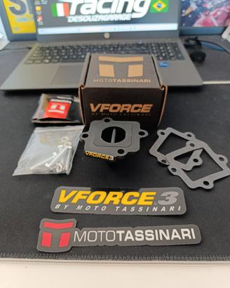 pacco lamellare Minarelli orizzontale vforce3