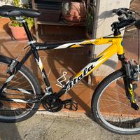 Bici atala