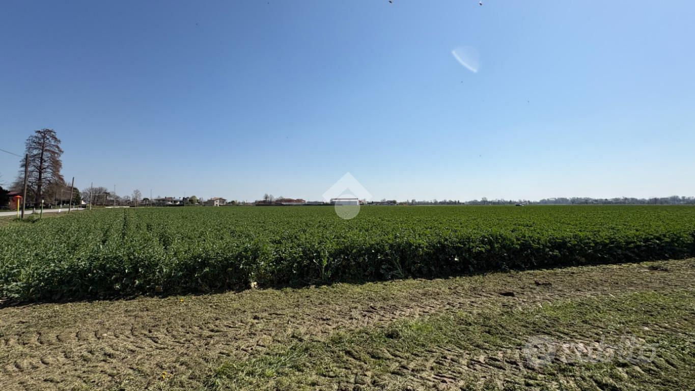 TER. AGRICOLO A SAN GIORGIO IN BOSCO - Vista 6