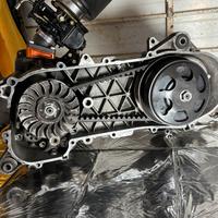 Trasmissione malossi per motori piaggio