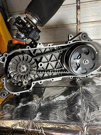 Trasmissione malossi per motori piaggio