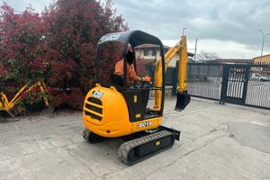 E227 - Escavatore 18 q JCB 8018