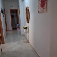 In Molise appartamento