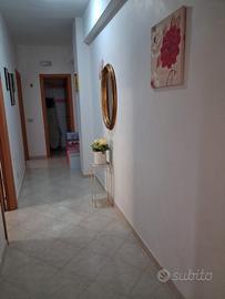 In Molise appartamento