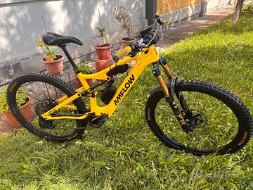EBike Amflow pl carbon