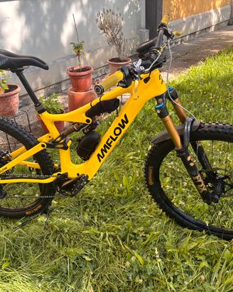 EBike Amflow pl carbon