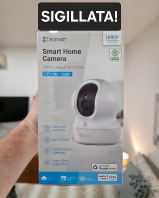 Telecamera di Sorveglianza Ezviz