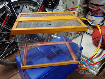 Acquario in vetro con coperchio e illuminazione