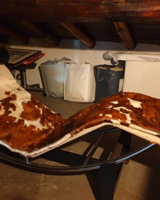 LC4 LE Corbusier Chaise Longue