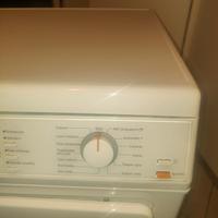 asciugatrice miele