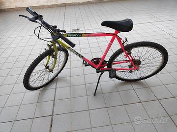 Bici Bicolore