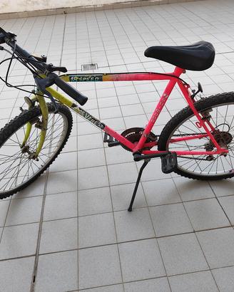 Bici Bicolore