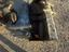 Immagine 12