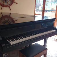 Pianoforte a coda nero lucido
