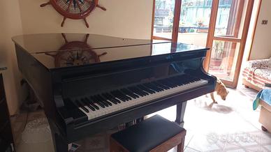 Pianoforte a coda nero lucido