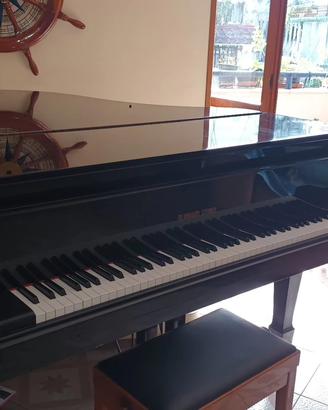 Pianoforte a coda nero lucido