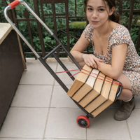 Carrello Pieghevole Porta Pacchi. Nuovo imballato