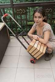 Carrello Pieghevole Porta Pacchi. Nuovo imballato