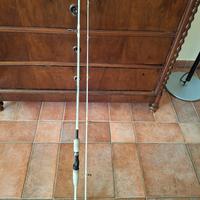 canna di pesca a spinning