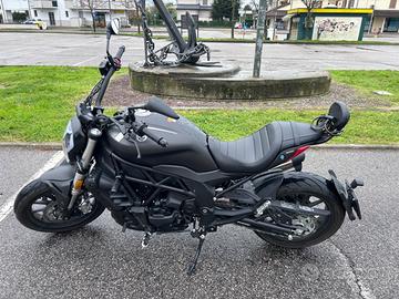 Benelli 502 C - 2022