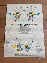 Poster riflessologia mani e piedi
