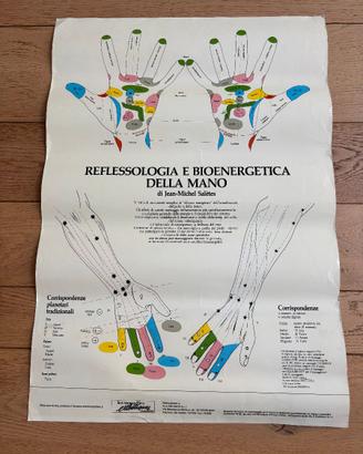 Poster riflessologia mani e piedi