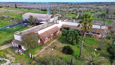 Masseria - Melendugno