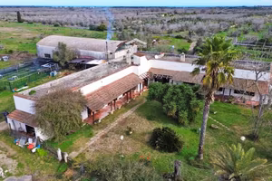 Masseria - Melendugno