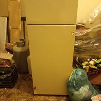frigo da incasso 