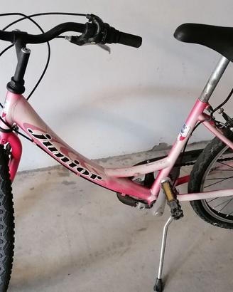 Bici ragazza-donna,  MTB 24 ''
