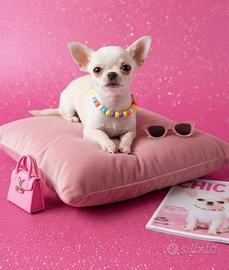 BARBIE Chihuahua Dolcissima, 50 euro al mese