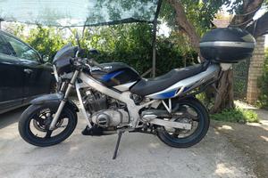 Suzuki GS 500 (2004) –  per intenditori