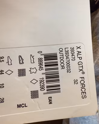 Salomon forces gtx Alps