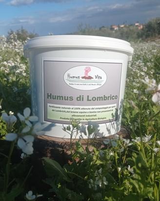 HUMUS di lombricho 