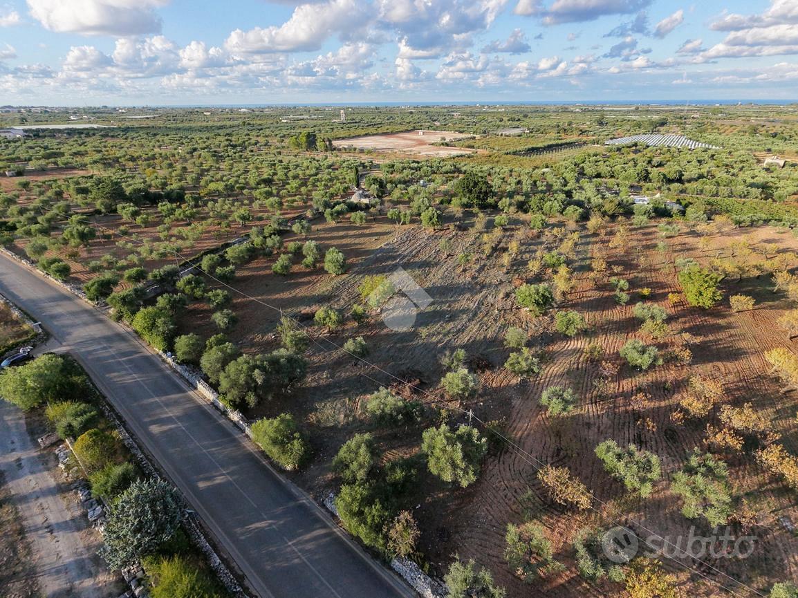 TER. AGRICOLO A CONVERSANO - Altro
