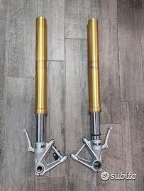 Forcella Bmw s1000rr 2010 2015 2016 2017