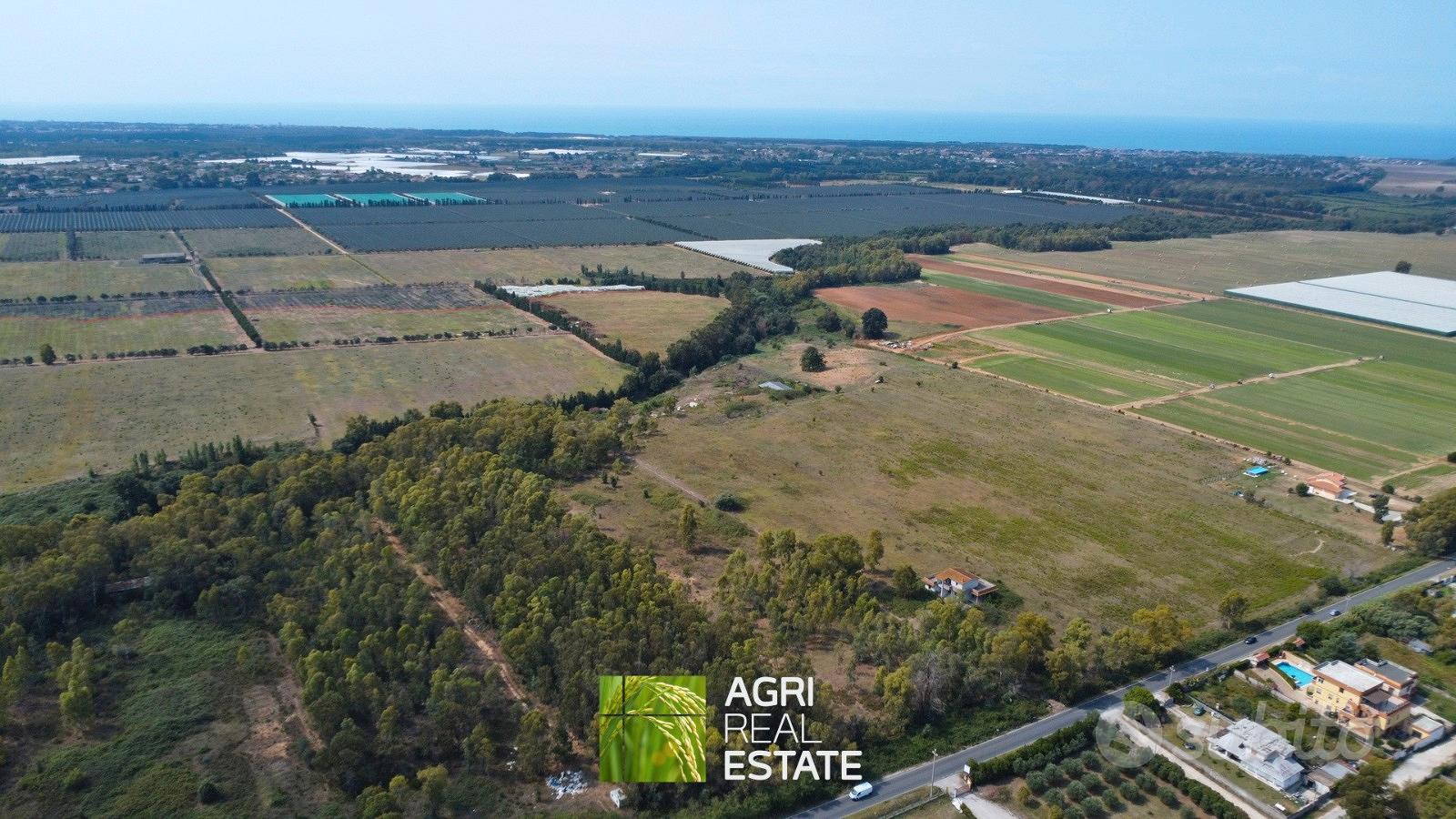 Terreno agricolo 2 ettari ca - Vista 4