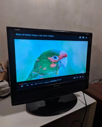 Monitor tv RENDER Eliseo19B